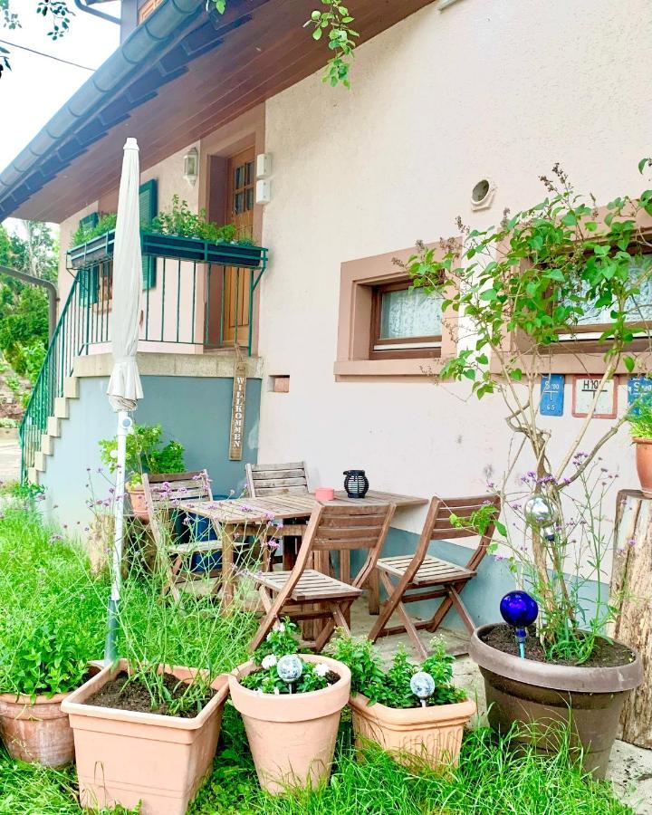 Ferienwohnung Diana Sexau Kültér fotó